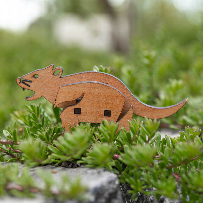 Tasmanian Devil 3D Puzzle in Myrtle