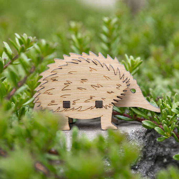 Echidna 3D Puzzle in Tasmanian Oak – Parkinson Wood Co