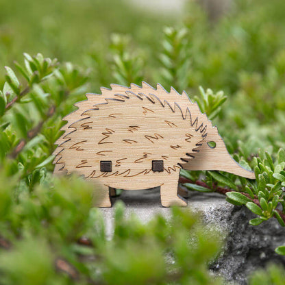 Echidna 3D Puzzle in Tasmanian Oak